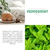 image:imageLemon Essential Oil for Diffuser Aromatherapy Oils for Laundry and for Skin Pure Essential Oils for Soap Making Lemon Oil for Diffuser Citrus Oil 4 ozPeppermint