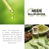 image:imageOrganic Neem Oil for Skin and Hair Need Oil 100 Pure Cold Pressed for Essential Oil Mixing Neem Oils for Plants Neem Cake Massage Oil Neems Spray for Indoor Plants 16 oz128 Fl Oz Pack of 1