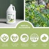 image:imageOrganic Neem Oil for Skin and Hair Need Oil 100 Pure Cold Pressed for Essential Oil Mixing Neem Oils for Plants Neem Cake Massage Oil Neems Spray for Indoor Plants 16 oz128 Fl Oz Pack of 1