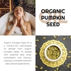 image:imagePremium Nature Organic Pumpkin Seed Oil ColdPressed Unrefined from 100 Pumpkin Seed Oil for Hair Growth Pure Pumpkins Oils for Skin Face Hair Oils Aceite de semilla de calabaza para el cabello 4oz