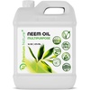 16 Fl Oz (Pack of 1)